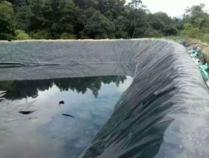 How to Choose the Most Suitable Geomembranes for Your Projects?  Let's learn it from the Perspective of a Manufacturer.</a>
